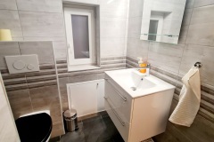 AptB-Bathroom-b